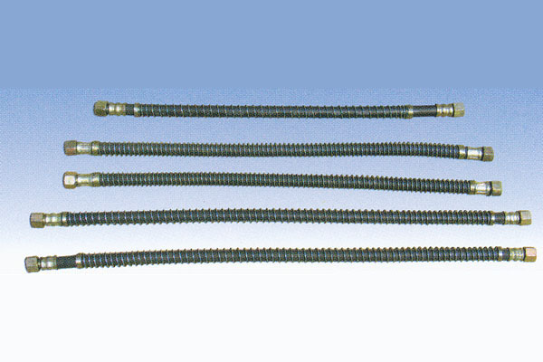 ����鿴��