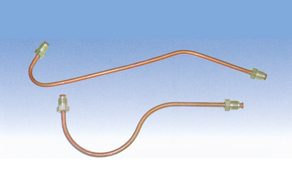 ����鿴��