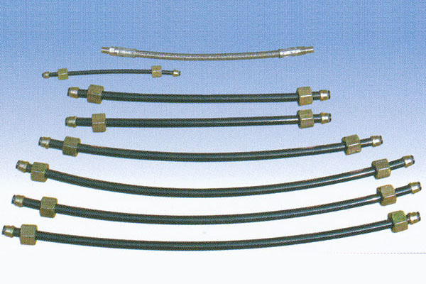 ����鿴��