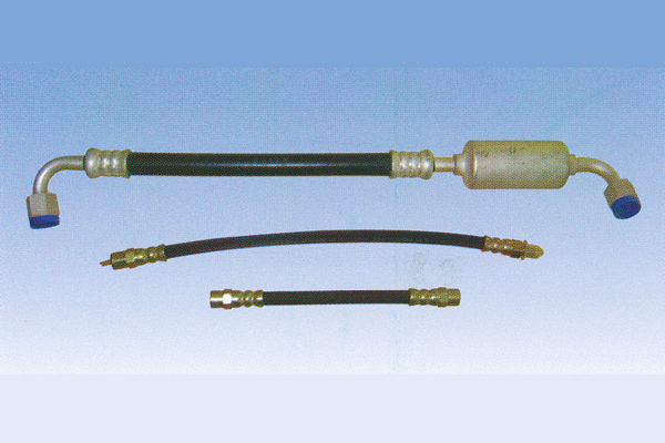 ����鿴��