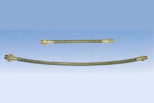 ����鿴��