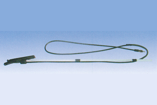 ����鿴��