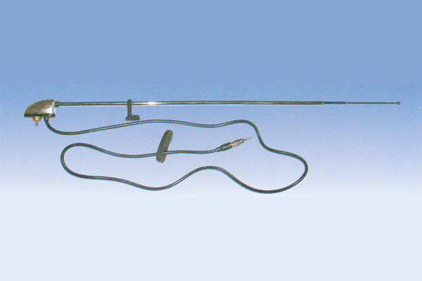 ����鿴��