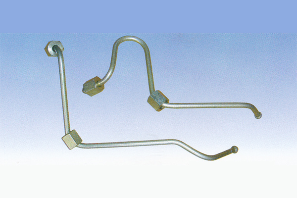 ����鿴��