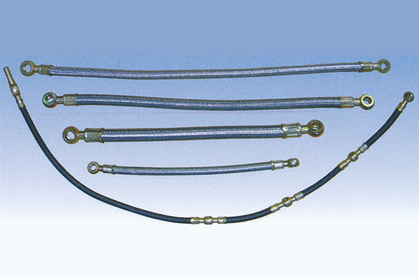 ����鿴��