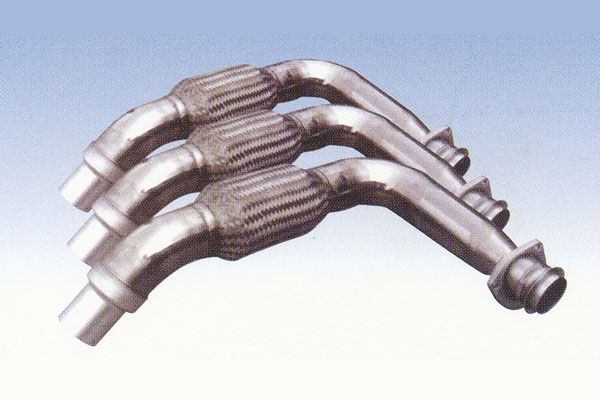 ����鿴��