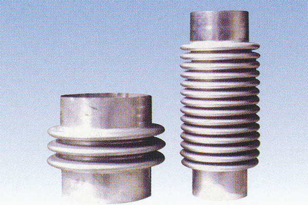 ����鿴��